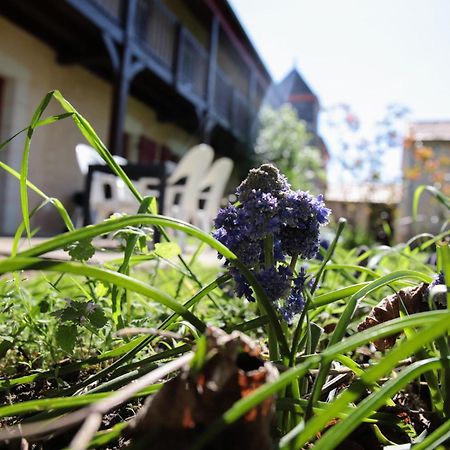 Au Repos Des Elfes Villa Braye-sous-Faye Dış mekan fotoğraf