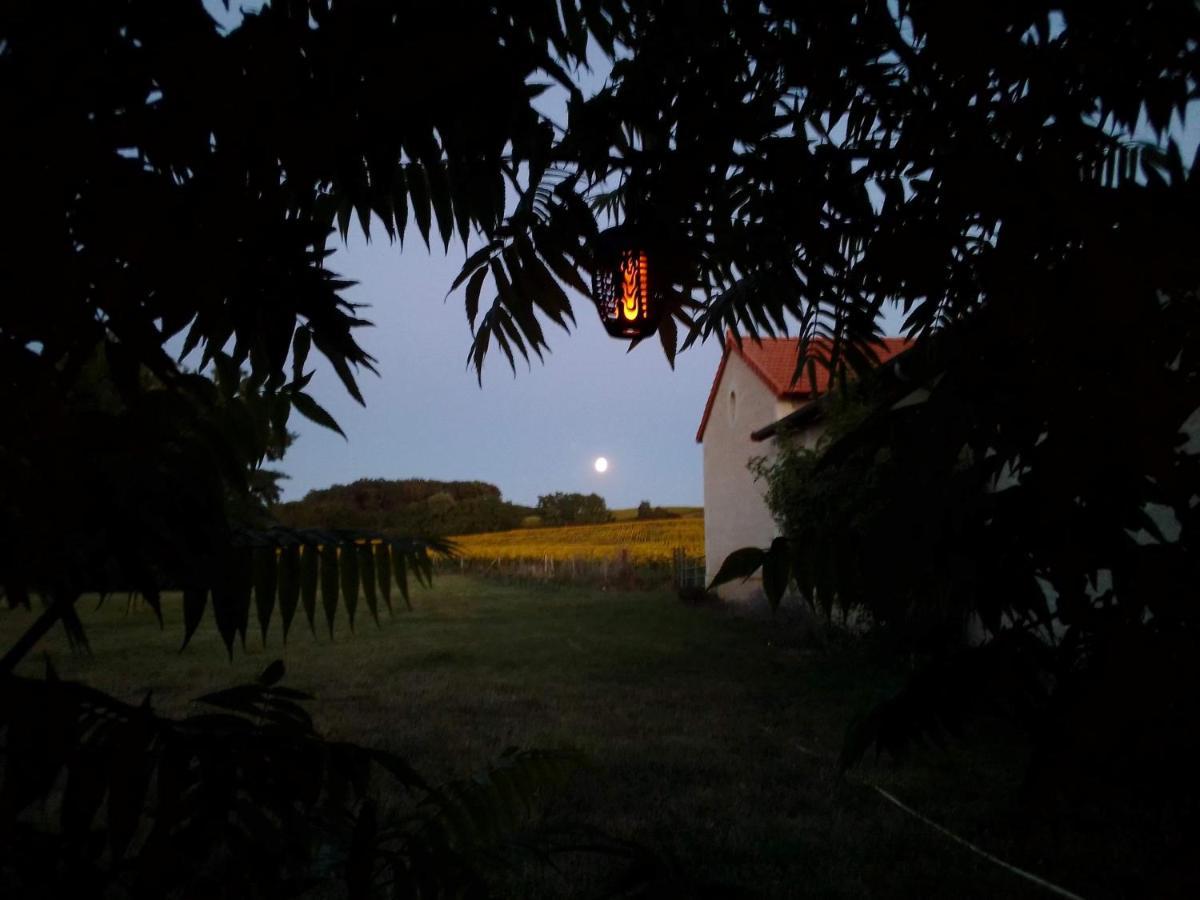 Au Repos Des Elfes Villa Braye-sous-Faye Dış mekan fotoğraf