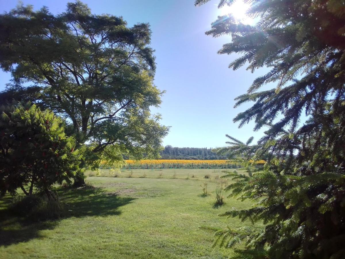 Au Repos Des Elfes Villa Braye-sous-Faye Dış mekan fotoğraf