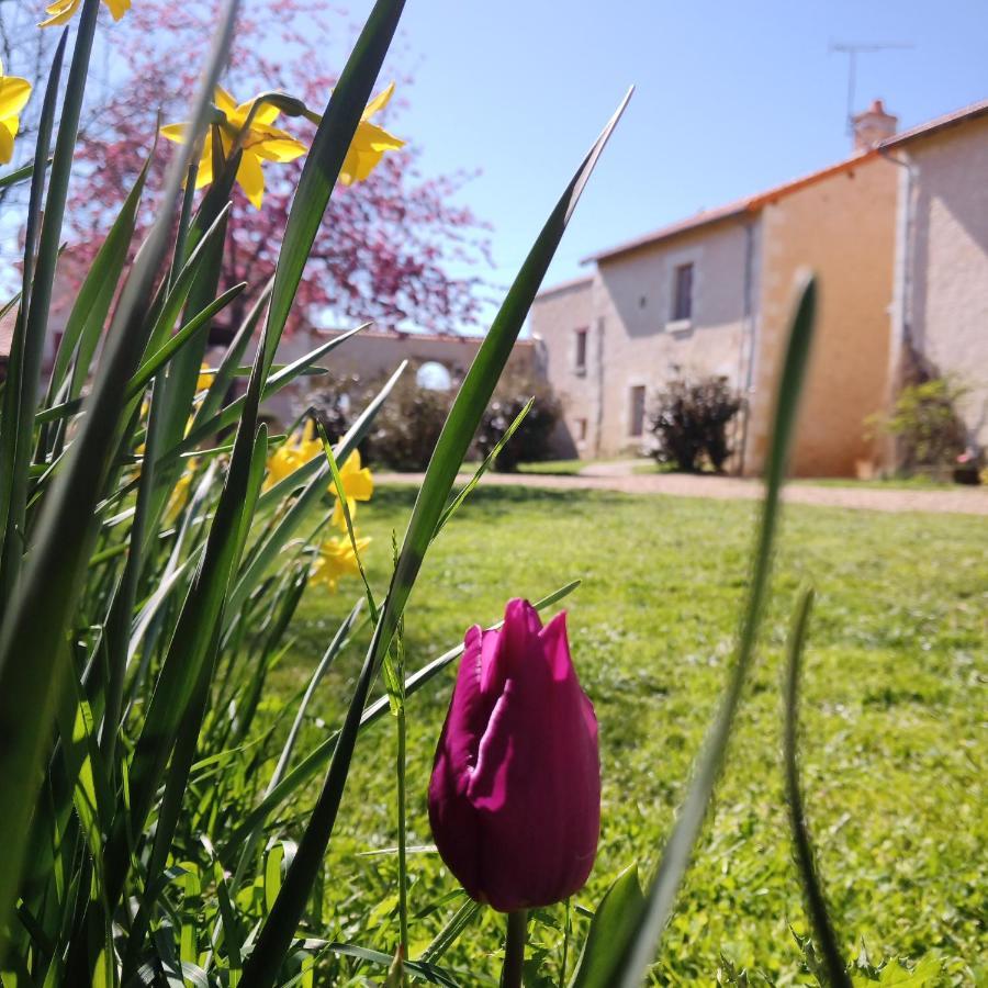 Au Repos Des Elfes Villa Braye-sous-Faye Dış mekan fotoğraf