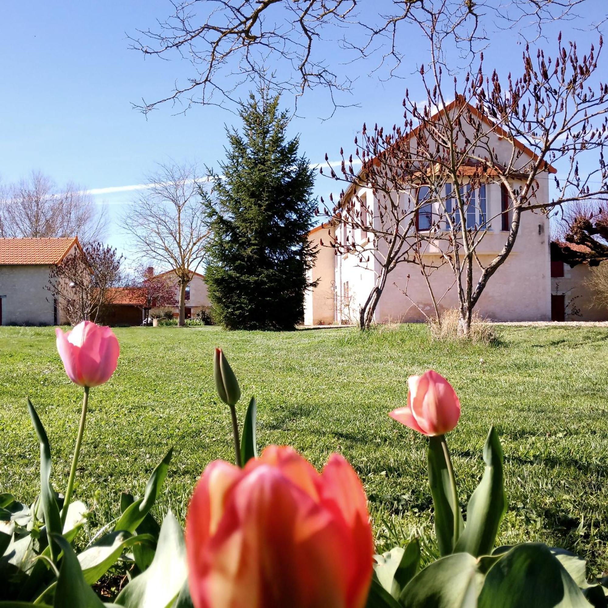 Au Repos Des Elfes Villa Braye-sous-Faye Dış mekan fotoğraf