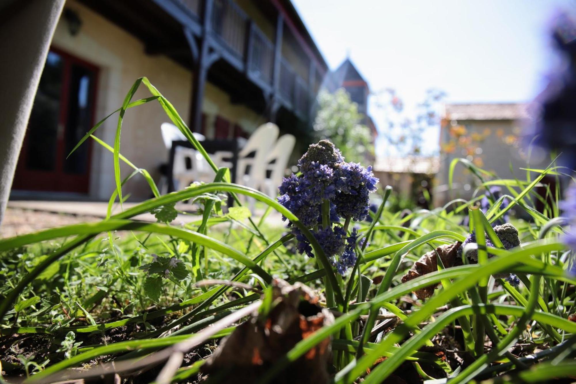 Au Repos Des Elfes Villa Braye-sous-Faye Dış mekan fotoğraf